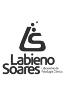 Logo Labieno Soares