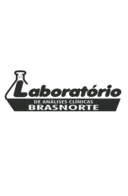 Logo Brasnorte